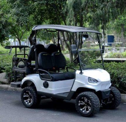48V Electric Golf Cart 4 Seater Renegade Light Edition Utility Golf UTV - LIGHT EDITION - WHITE